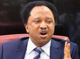 Ex-Senator Shehu Sani reveals why Pastor Tunde Bakare is yet to purchase form for 2023 presidential race