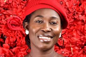 Case of late Osinachi transferred to DPP-  FCT Police Command