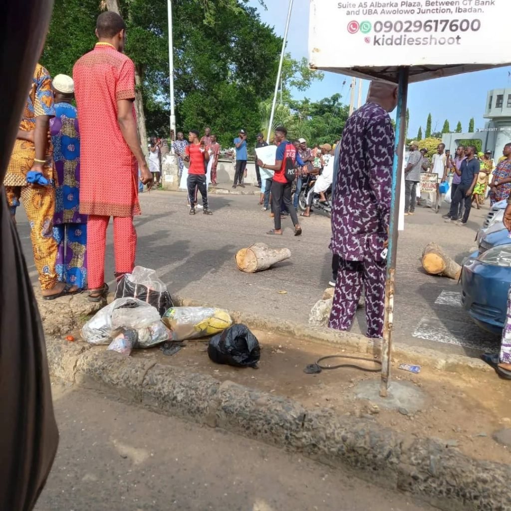 ASUU:  University of Ibadan students protest prolonged strike