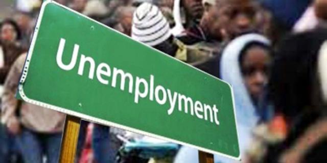 Think Tank on Nig Org advocates continuous capacity devt to reduce 50% unemployment of youth