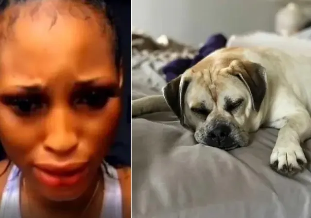 Sex With Dog: Lady seen in viral video makes U-turn, denies involvement in bestiality