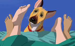 VOICE CONFESSION: How girl sex with dog produce millions – “Yahoo Boy”