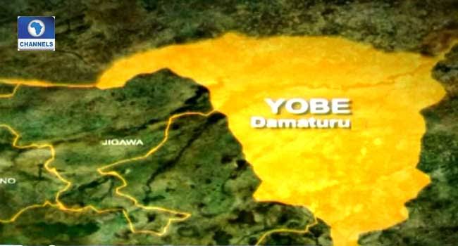 Yobe govt. receives encoder to complete digitisation of television