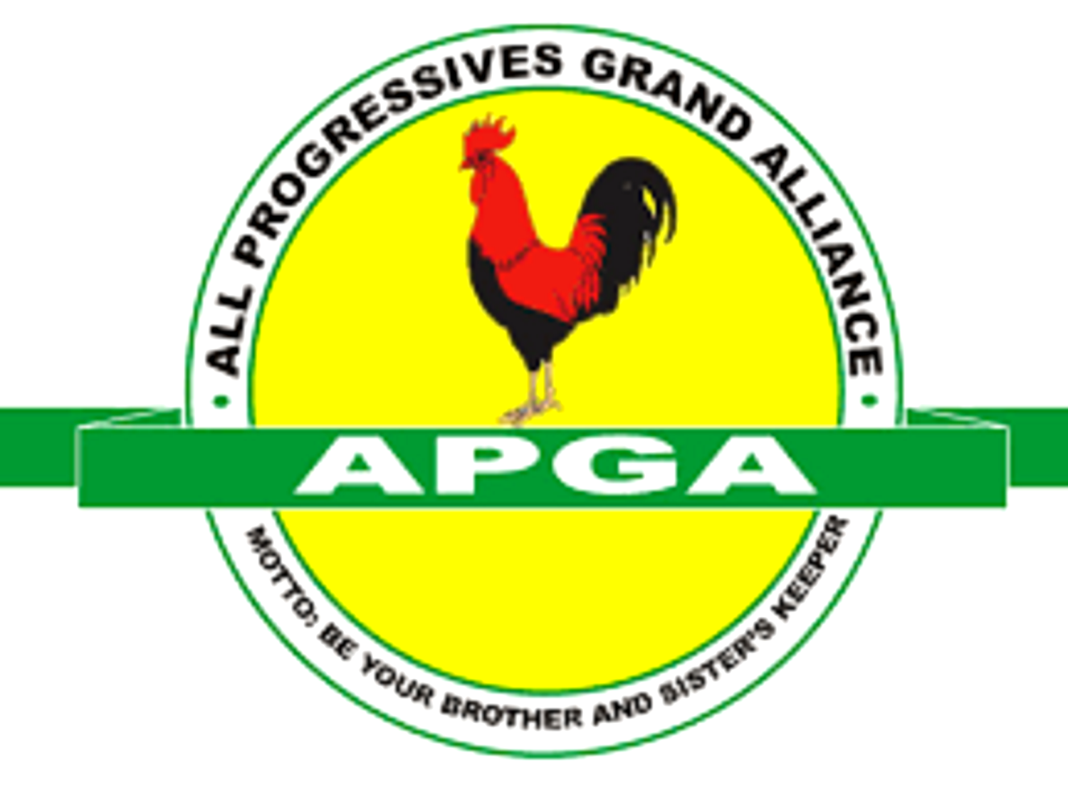 38-year-old emerges as APGA national chairman