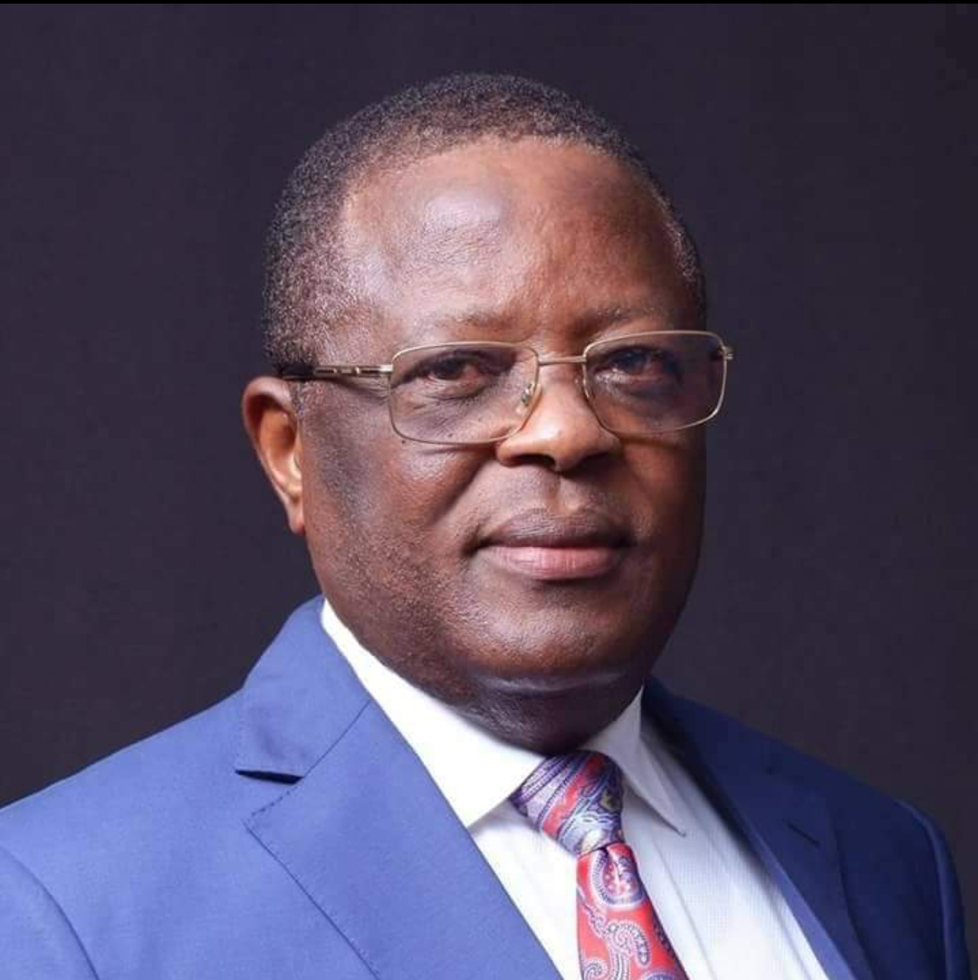 Governor Umahi clinches Ebonyi South senatorial ticket