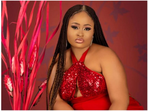 BBNaija Amaka reveals how she felt watching Daniella and Khalid freaky moments under the sheets