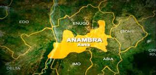 Police arrest suspended LG Chairman over wife’s death in Anambra