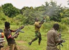Terrorists attack farm, kill soldier, abduct Zimbabwean and two farmers in Kaduna