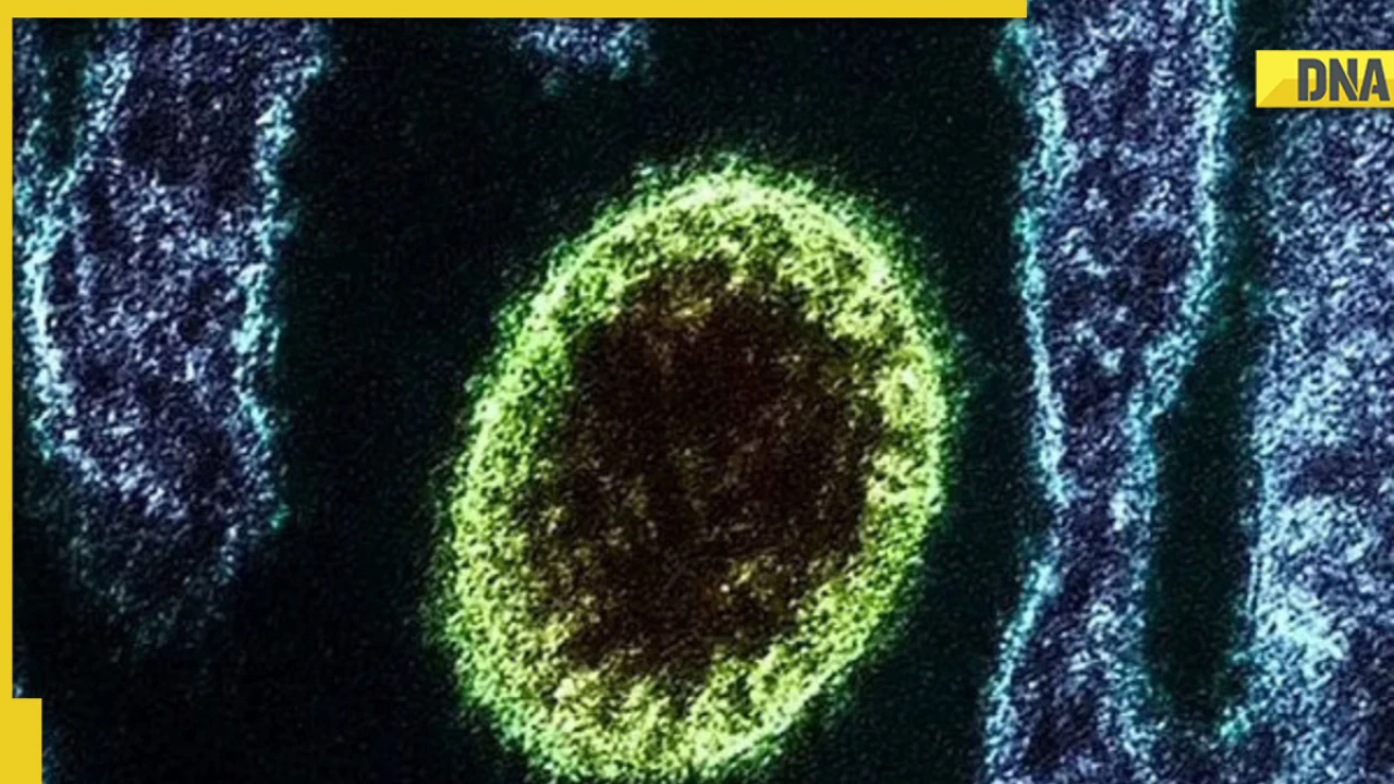 Another deadly disease  ‘Langya’ Virus hits China, many infected