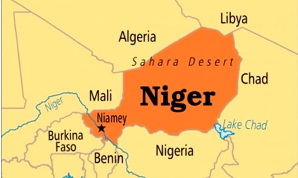 Vehicular Support to Niger: Critics got it Wrong – By Aliyu Mohammed