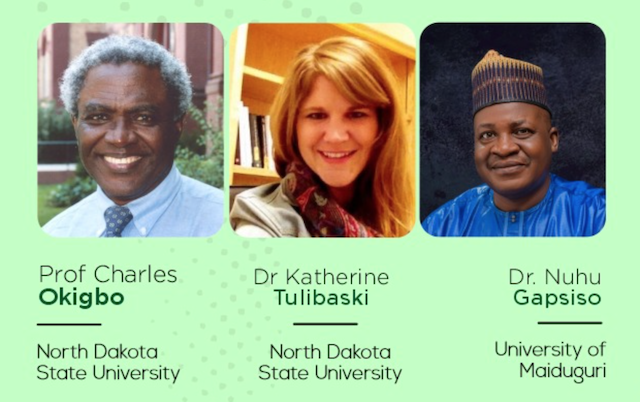 Experts identify best research approach to seeking solutions to societal problems