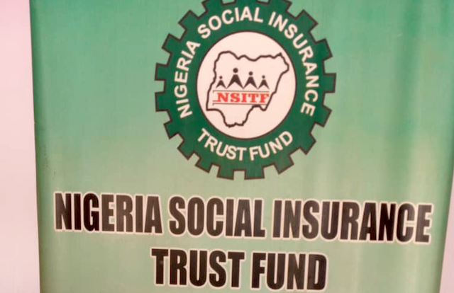 Termites have eaten vouchers on N17.158 billion - NSITF