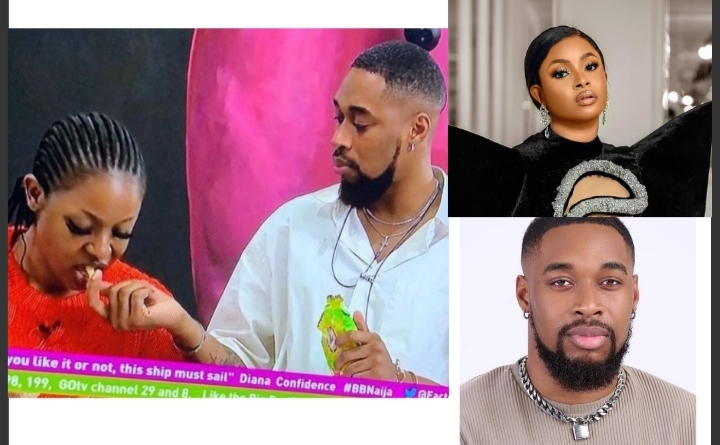 BBNaija: Level up male housemate, Shegz proposes to Bella