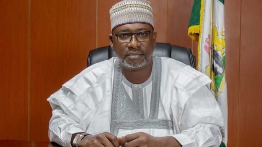 Lake Chad water transfer possible, but expensive – FG