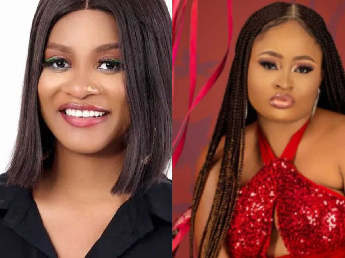 BBNaija: Amaka reveals to Phyna who deserves Groovy more