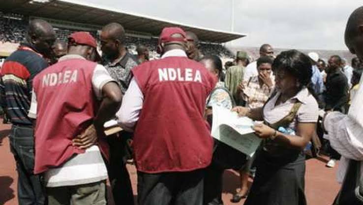 NDLEA nabs Sokoto traditional ruler over alleged drug deals
