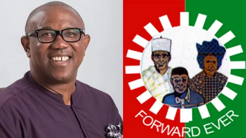 Diaspora donations to Obi’s campaign lawful – Lawyer says