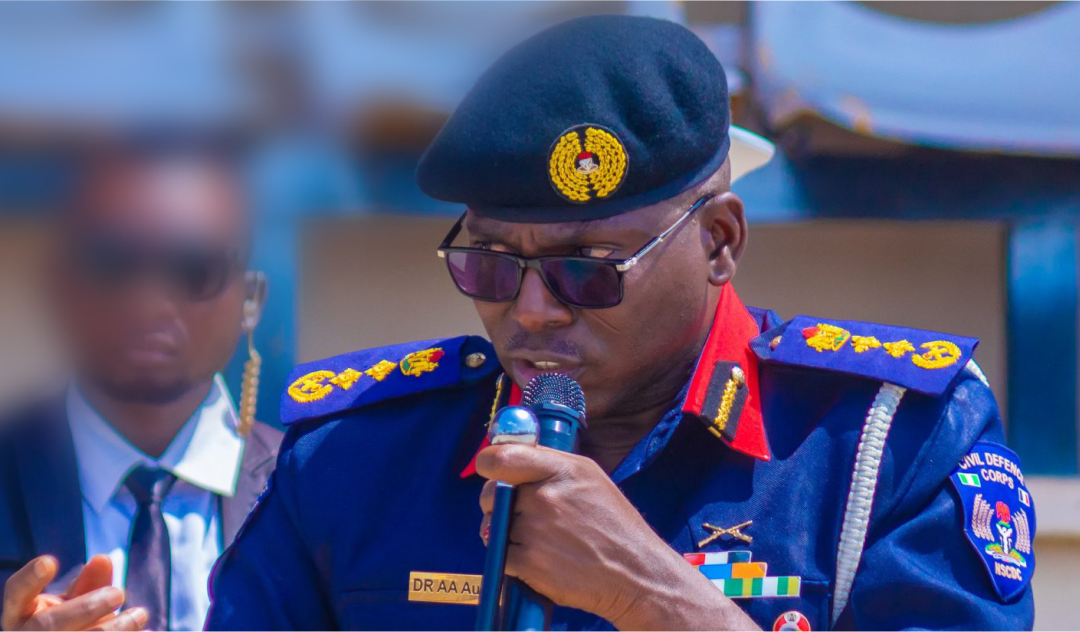 Nigeria not ripe to allow citizens bear arms – NSCDC boss