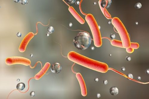 Gombe declares cholera outbreak, records 10 deaths