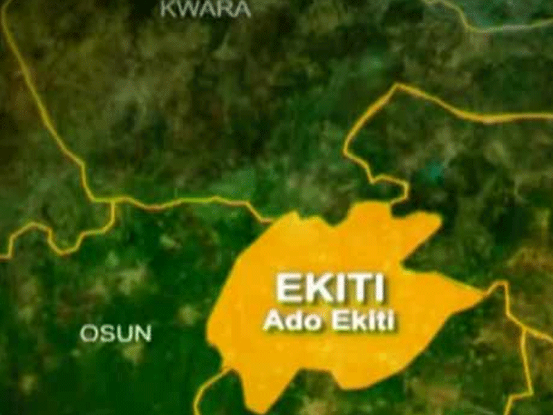 Ekiti state set to partner with America on cashew producion