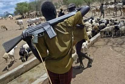Fulani herders kill six in fresh attacks on Benue Village