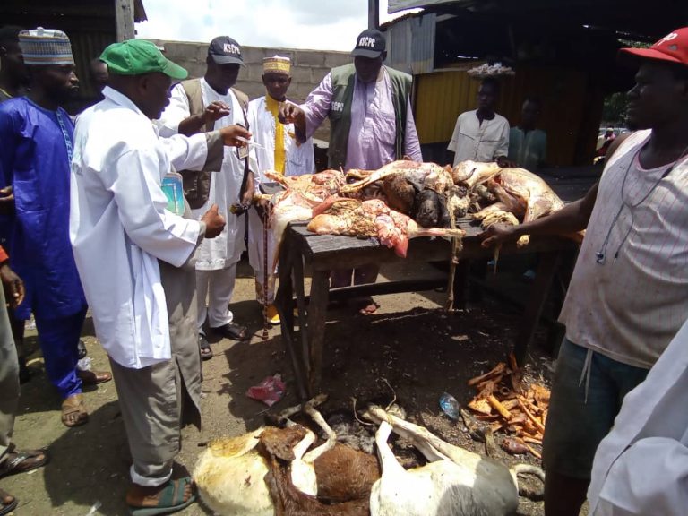 Dead animals uncovered in Kano Abbatoir
