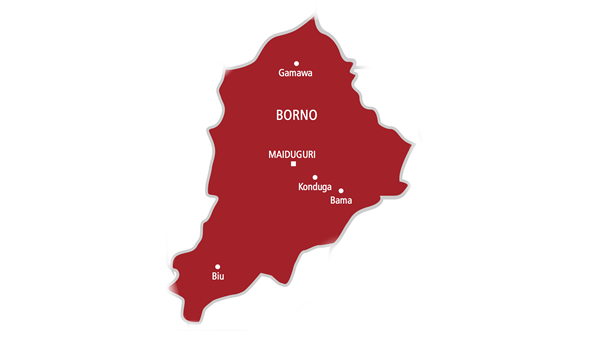 High Commissioner applauds Canada’s interventions in Borno