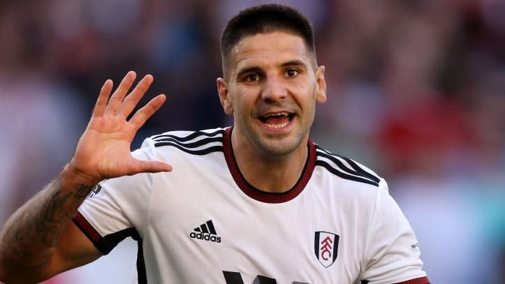 EPL: What I am learning from Haaland – Mitrovic
