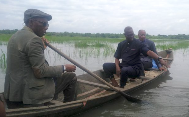 Delta rice farmer loses over N70 million rice farm to flood