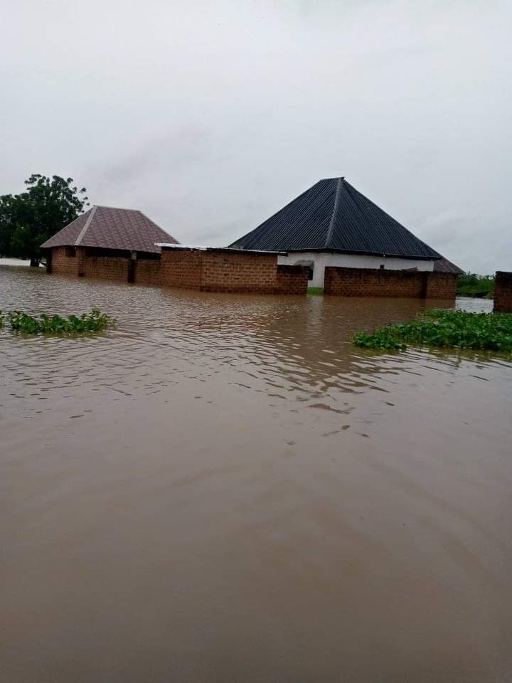 Flood displaces about 400,000 in eight Nassarawa residents