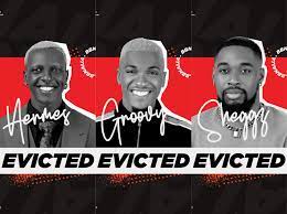 BBNaija: Groovy, Sheggz and Hermes evicted, as Bella and Phyna suffer heartbreak