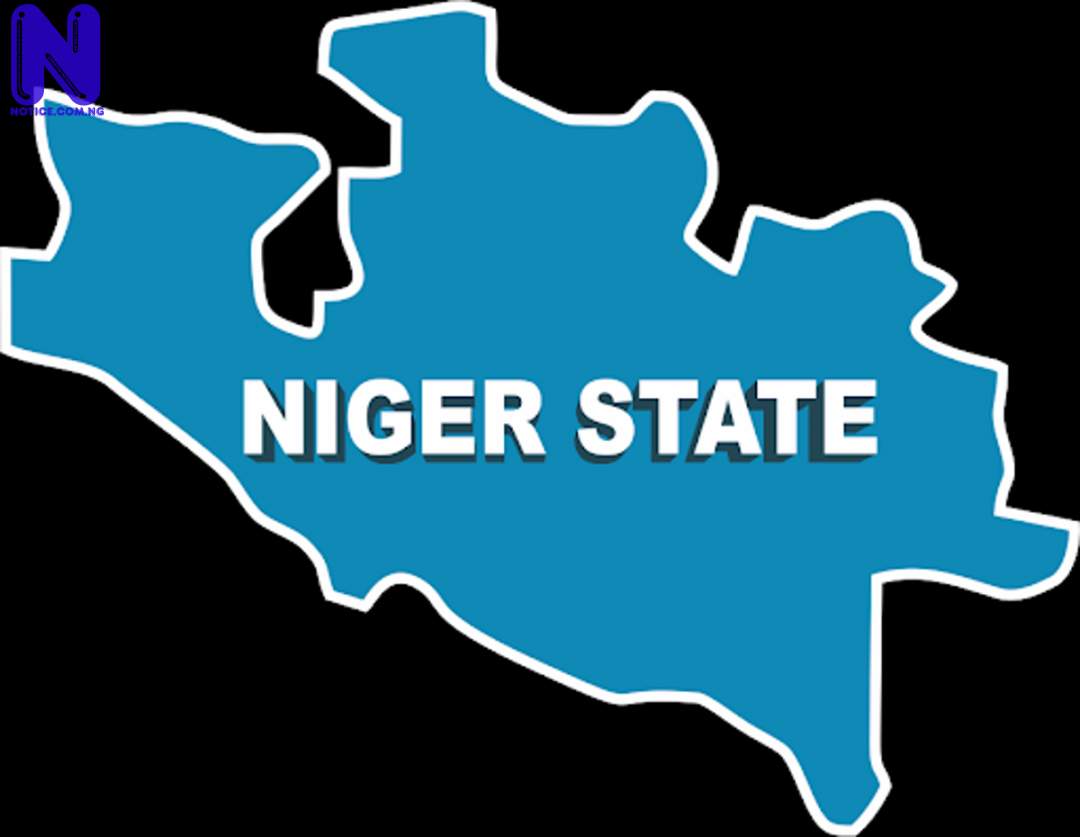 Niger State gov’t to confront child, forced Labour