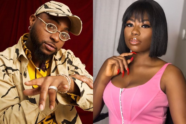 Sophia Momodu likens Davido to a dog after unfollowing each other on social media