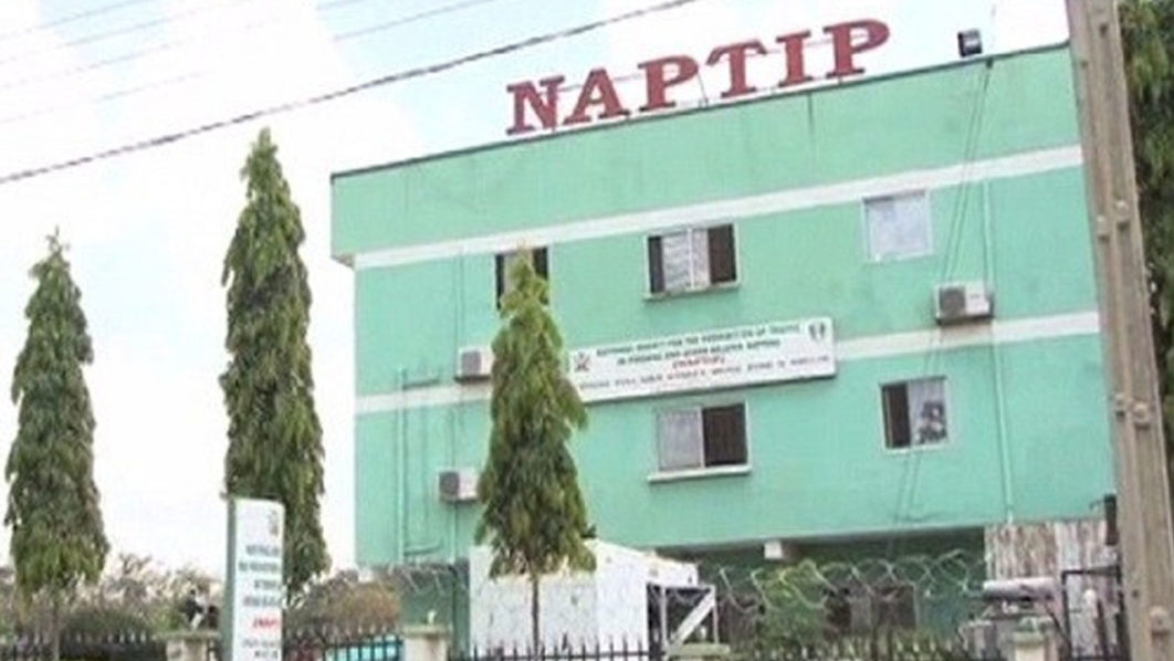 NAPTIP arrests woman for flogging granddaughter to death, dumps body in bush