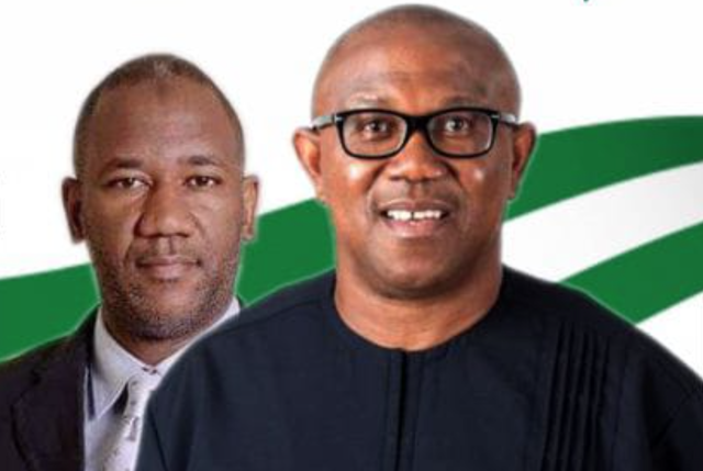 2023: Why Nigerians should support Peter Obi for president – Ohaneze Ndigbo