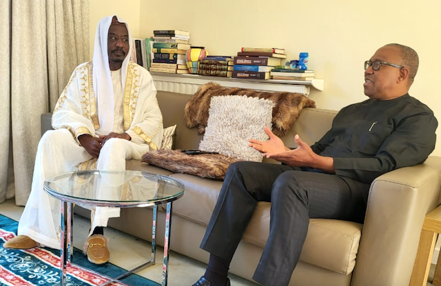 What I discussed with ex-Emir of Kano in London - Peter Obi