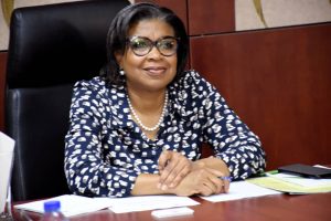 Debt sustainability: We deploy tools, strategies on borrowing-DMO