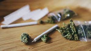 NDLEA destroys hectares of hemp farmland 1,465 kg in Ekiti state