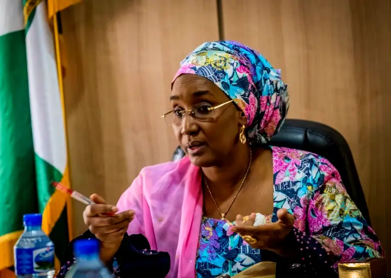 Floods: Ijaw slams Humanitarian Affairs Minister’s comment, demands apology