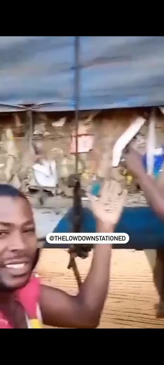 Truck load full of rotten N1,000 notes found in North (VIDEO)