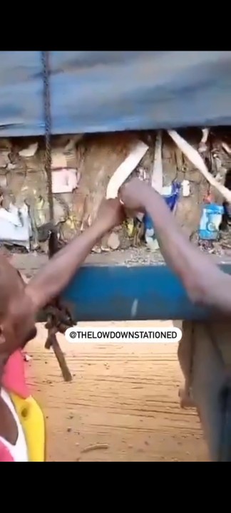Truck load full of rotten N1,000 notes found in North (VIDEO)