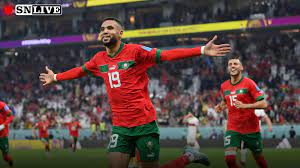 Qatar 2022: Morocco shocks Portugal, grabs semi-final ticket