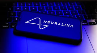 Neuralink: Elon Musk's company develops brain chip meant to restore vision to persons born blind