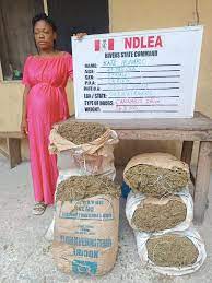 NDLEA nabs grandma, pregnant woman over possession of hard drugs