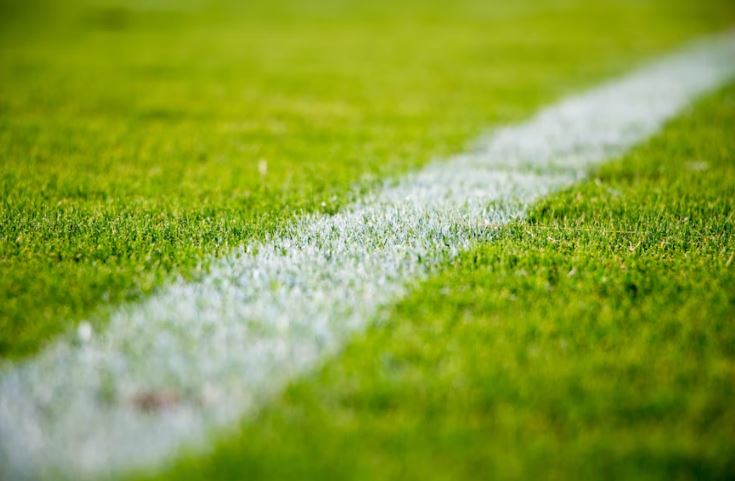 The importance of information in the world of sports betting