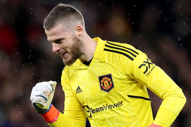 Inter Miami move for David de Gea