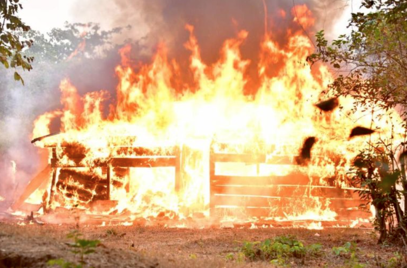 NDLEA destroys 317 tons of cannabis in Edo forest, arrests 4