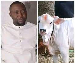 Bayelsa man narrates how violent Christmas cow killed his brother