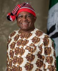 PDP sacks Chimaroke Nnamani, Chris Ogbu, Ayeni Funso, others
