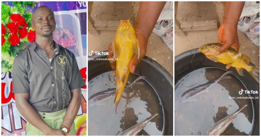[Video]Nigerian believes goldfish he caught’ll change his life, seeks value